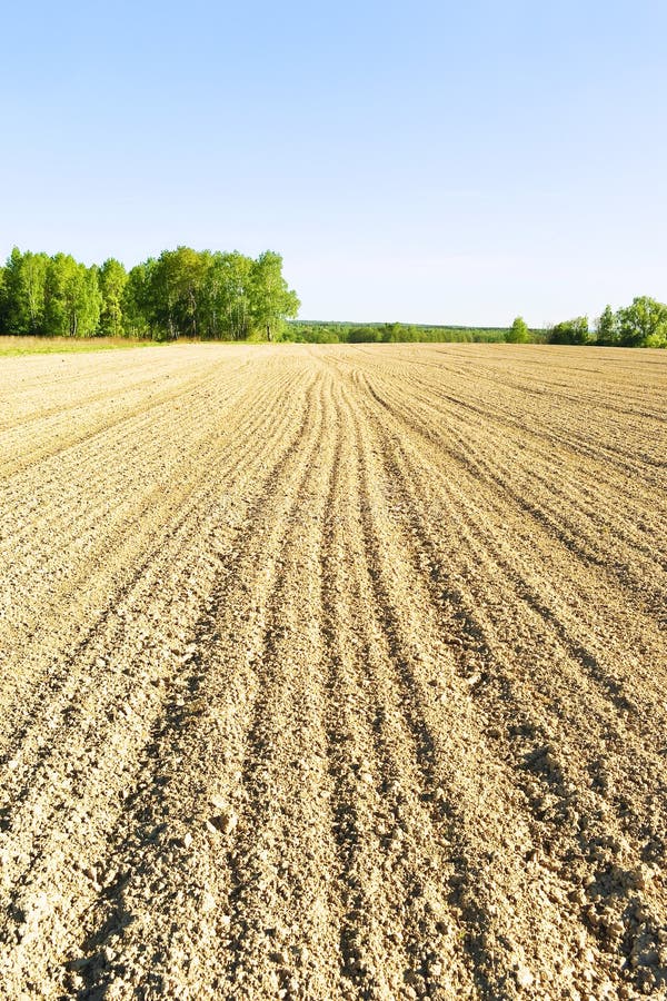 Plowed field