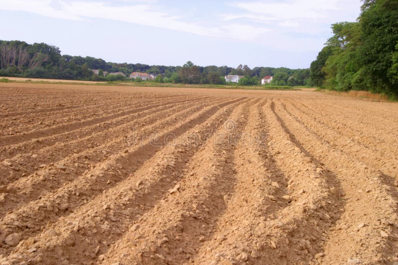 Plowed field for Fall crops