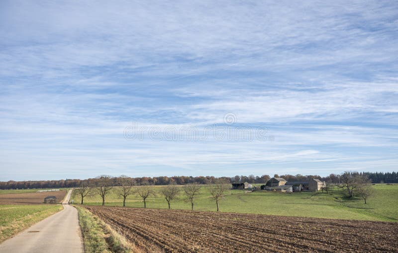 country road next to plowed field with meadow and old farm in belgian ardennes near namur under blue sky in the fall