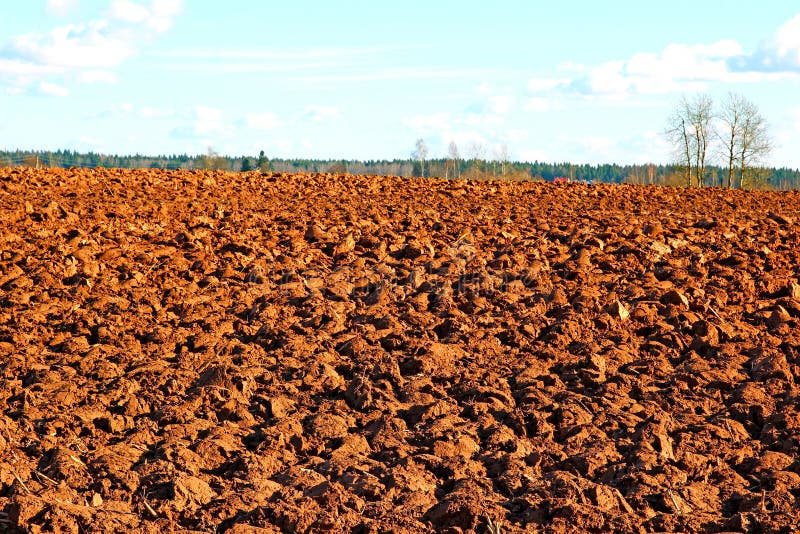 Plowed field prepared for sowing winter crops royalty free stock images Plowed field prepared for sowing winter crops royalty free stock images