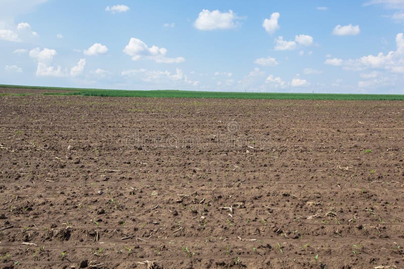 Plowed field stock image