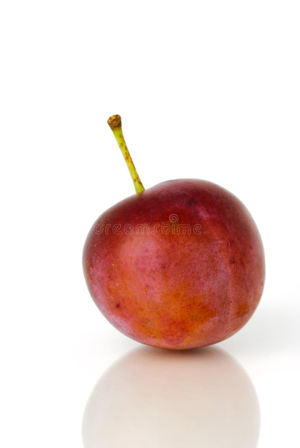 Plum isolated stock image. Image of plum, health, yellow 1080719