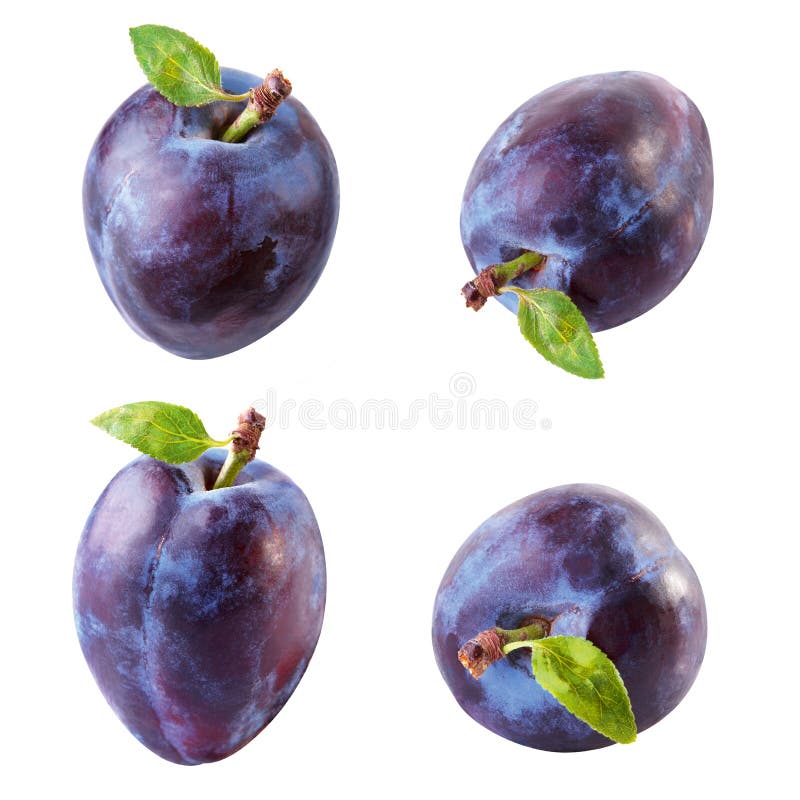 Plum