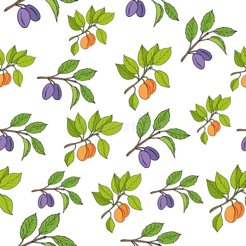 Plum and apricot seamless pattern stock illustration Plum and apricot seamless pattern stock illustration