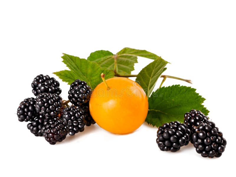 Plum and blackberry stock photo. Image of sweet, vitamins 20280914