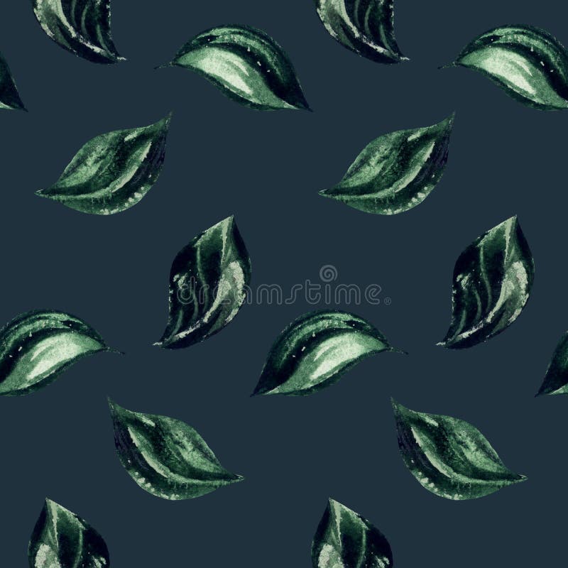 Plum blossom flower leaf pattern floral background vector illustration Plum blossom flower leaf pattern floral background vector illustration