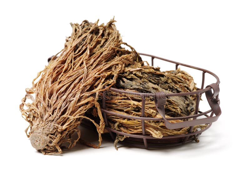 Plum dried vegetables stock image. Image of single, white 165642425