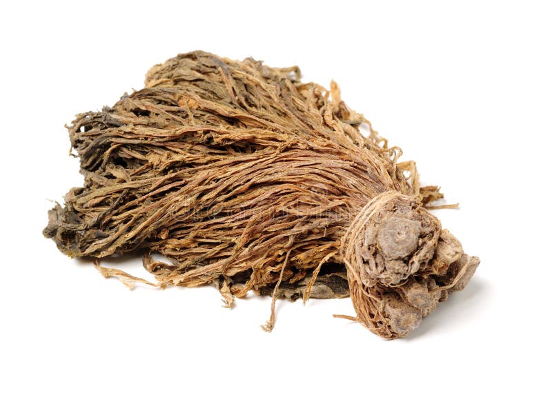 Plum dried vegetables stock image. Image of brown, pickle 165645379