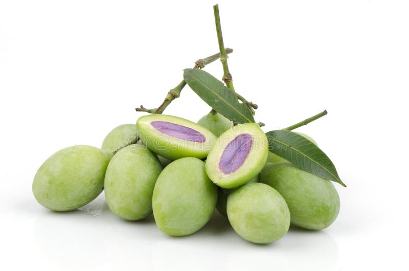 Plum Mango (Bouea Macrophylla Griffith). Stock Photography Image