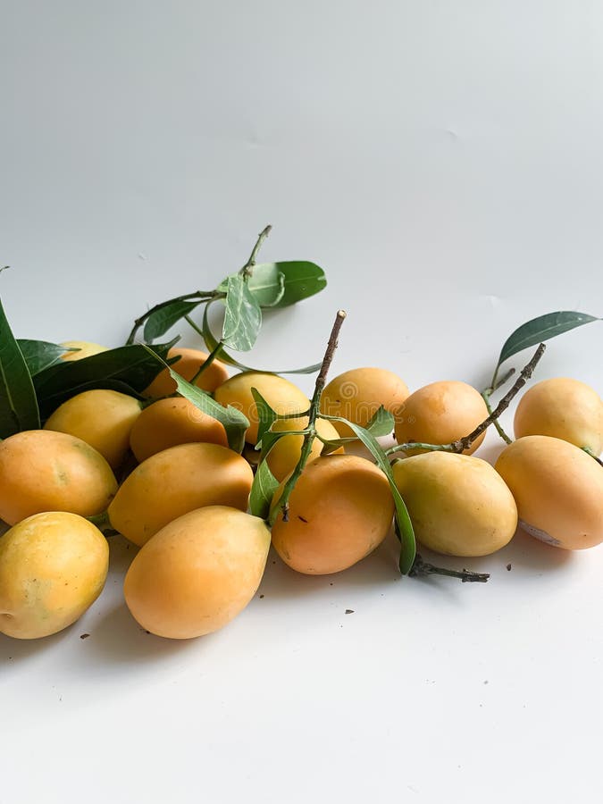 Plum Mango on White Background Stock Photo Image of isolated, focus