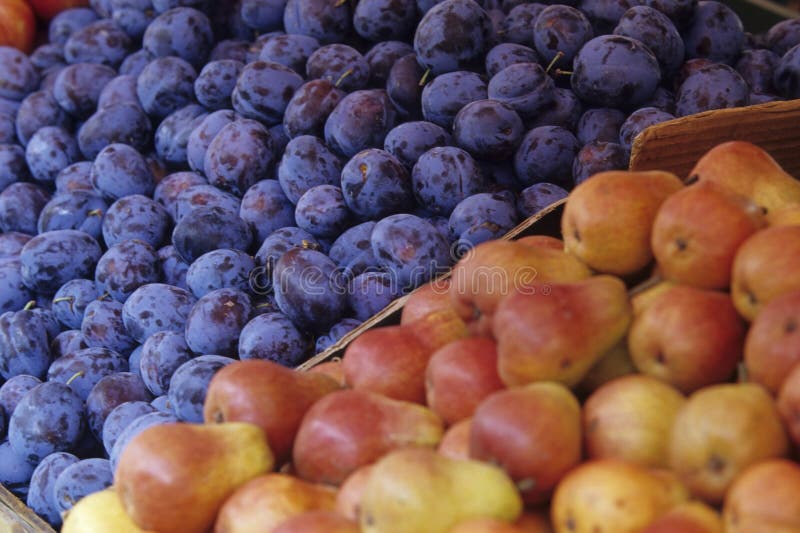 Plum and pears stock photo. Image of nutrition, kitchen 4976376