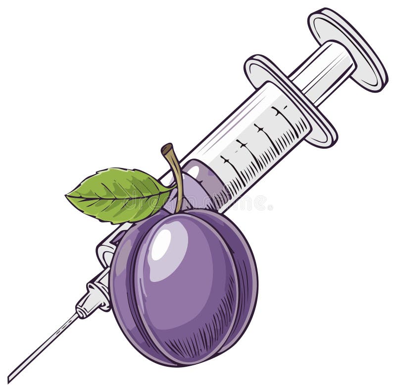 Plum with Syringe Illustration Genetic Modification and Food Science royalty free illustration