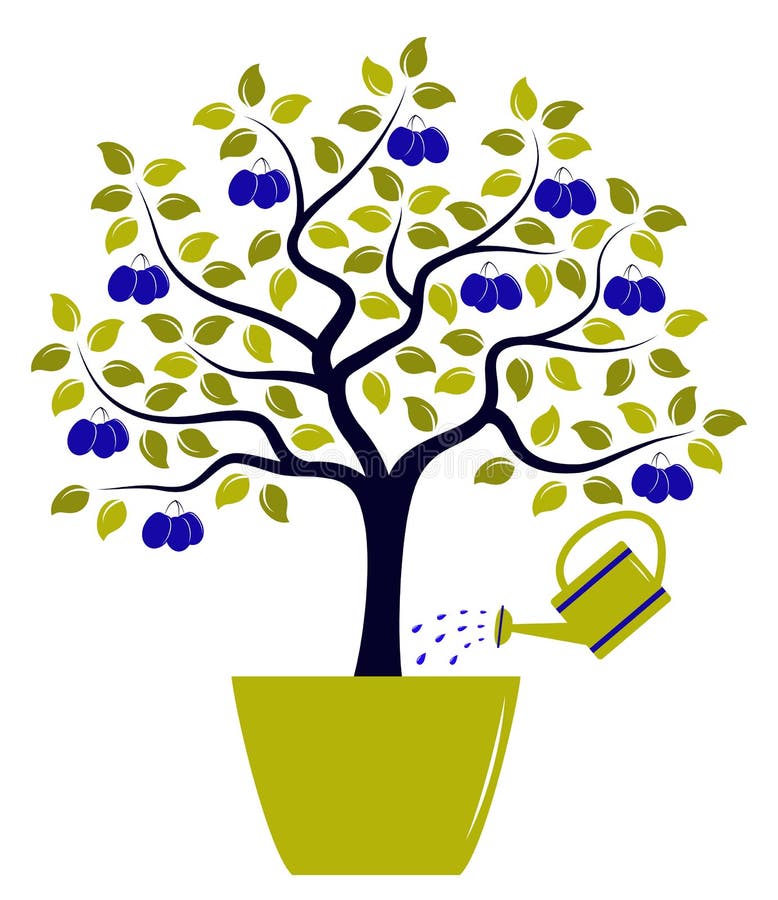 Plum tree stock vector. Illustration of summer, decor 15189033