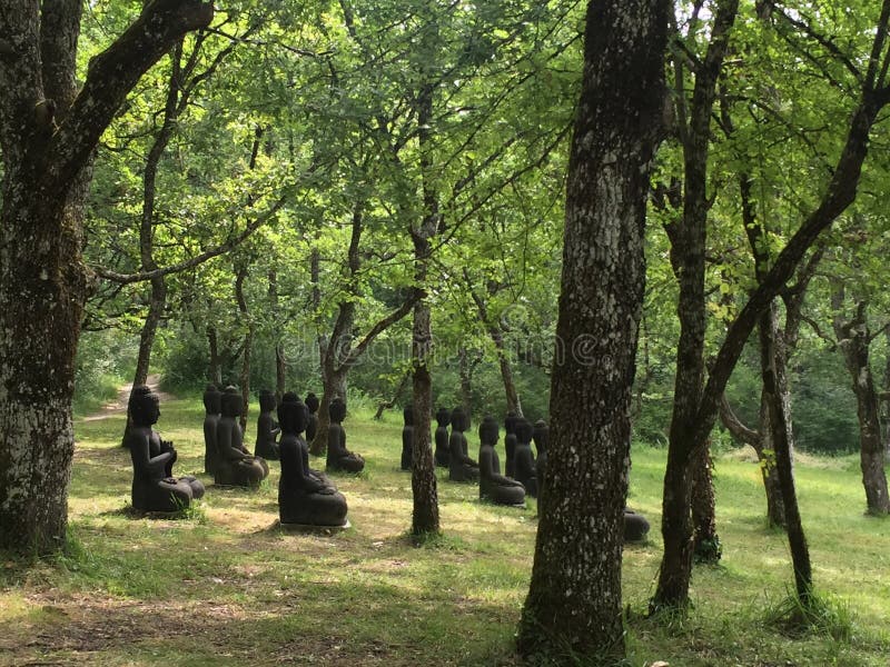 Plum Village stock photo. Image of grove, trunk, buddha 75312076