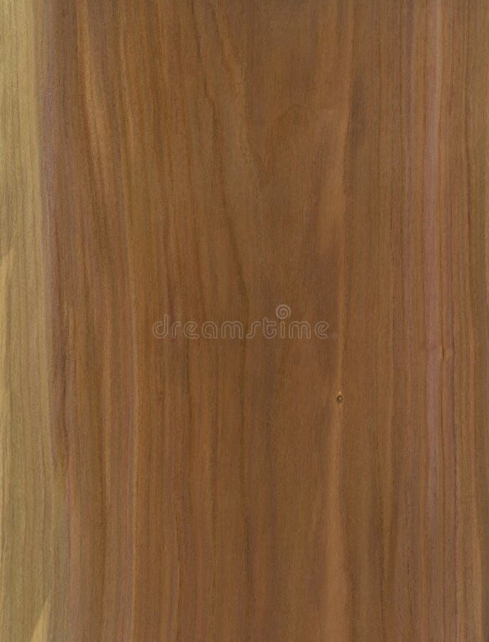 Plum wood veneer texture stock photo. Image of grain 18614718