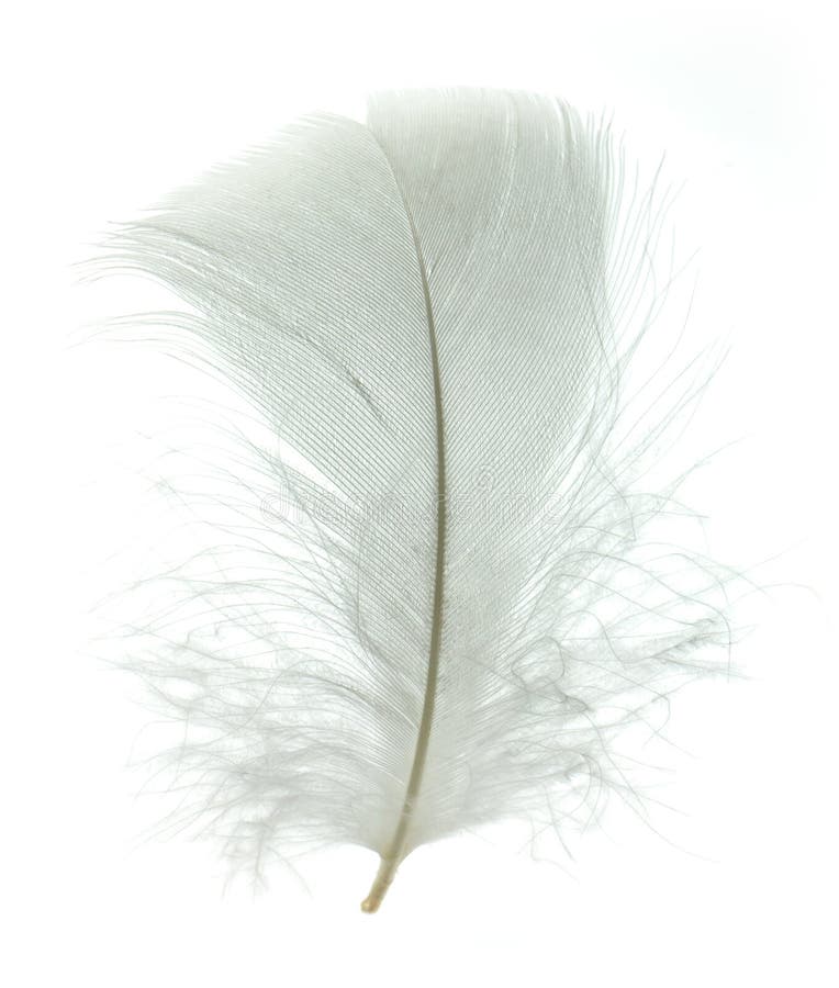 My Image 16