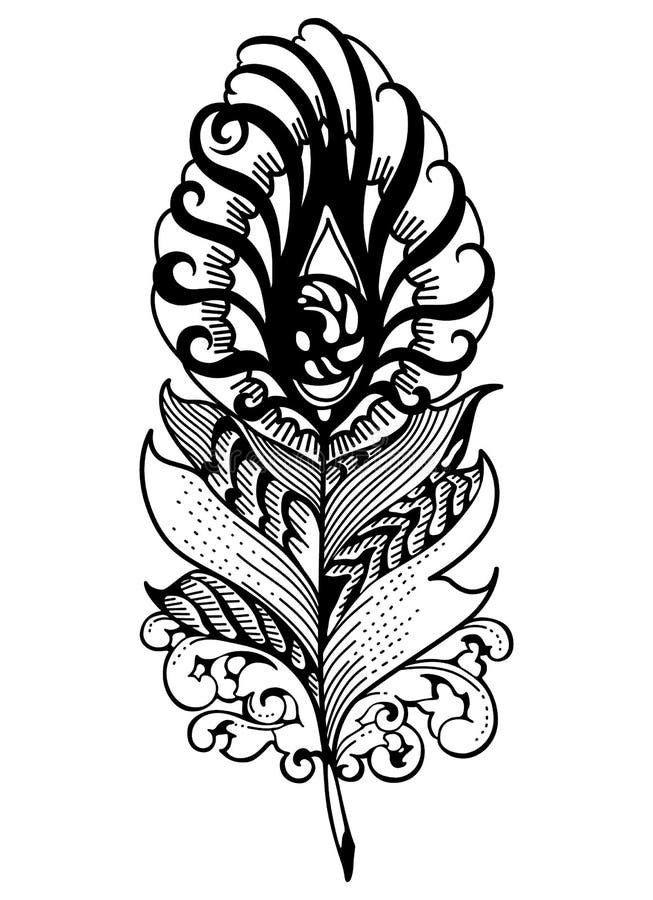 Pluma extraña con los ojos, ejemplo del vector libre illustration