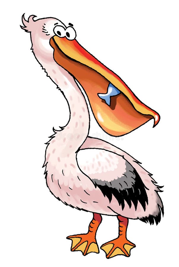 Plumagem Engraçada Da Imagem Dos Desenhos Animados Do Pássaro Do Pelicano  Ilustração Stock - Ilustração de membrana, mosca: 59851456