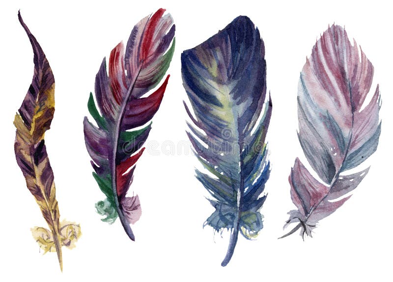 Plumas brillantes de la acuarela fijadas Dé los elementos decorativos exhaustos del boho aislados en el fondo blanco Objetos del ilustración del vector Plumas brillantes de la acuarela fijadas Dé los elementos decorativos exhaustos del boho aislados en el fondo blanco Objetos del ilustración del vector
