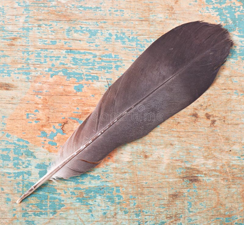 Combien Pese Une Plume D Oiseau
