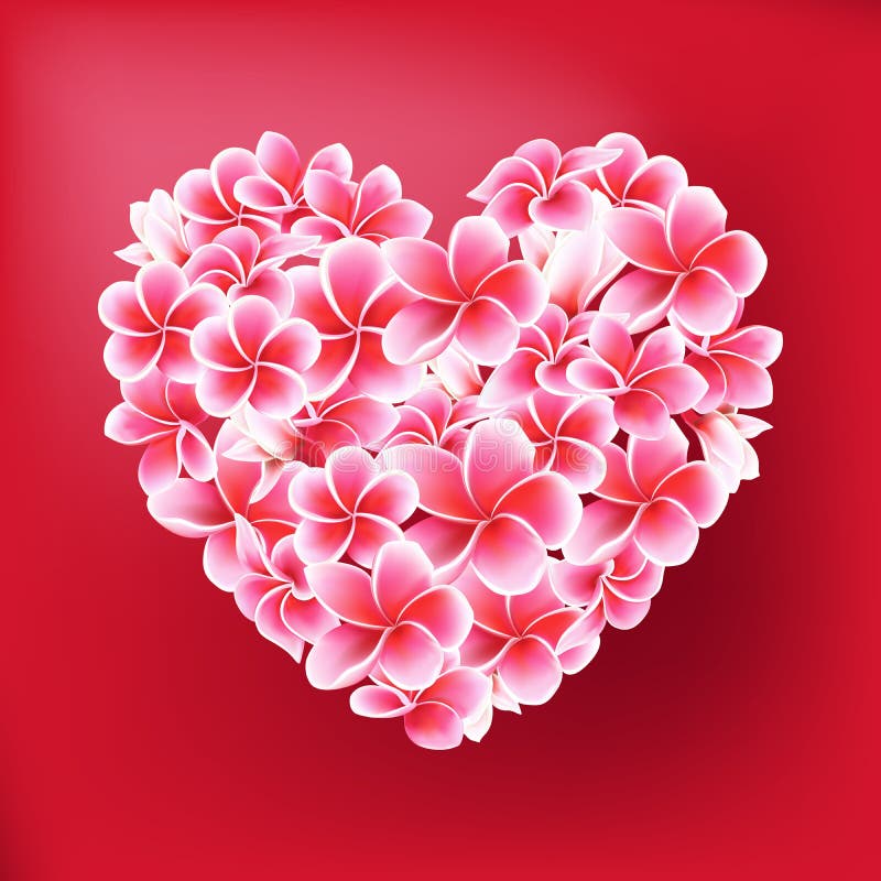 Plumeria or Frangipani Flowers Vector Heart Illustration on red stock illustration Plumeria or Frangipani Flowers Vector Heart Illustration on red stock illustration