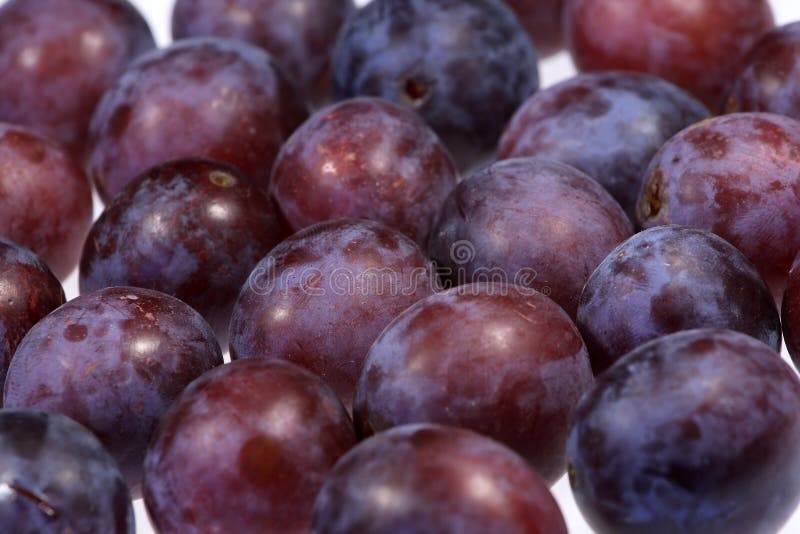 Plums royalty free stock photo
