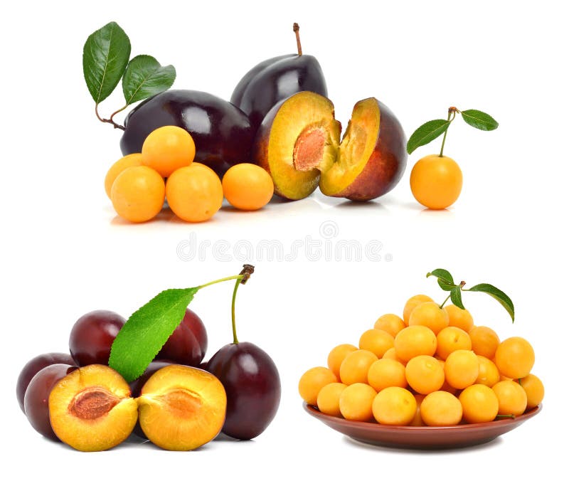 Plums and Cherry Plums Isolated Stock Image Image of breakfast