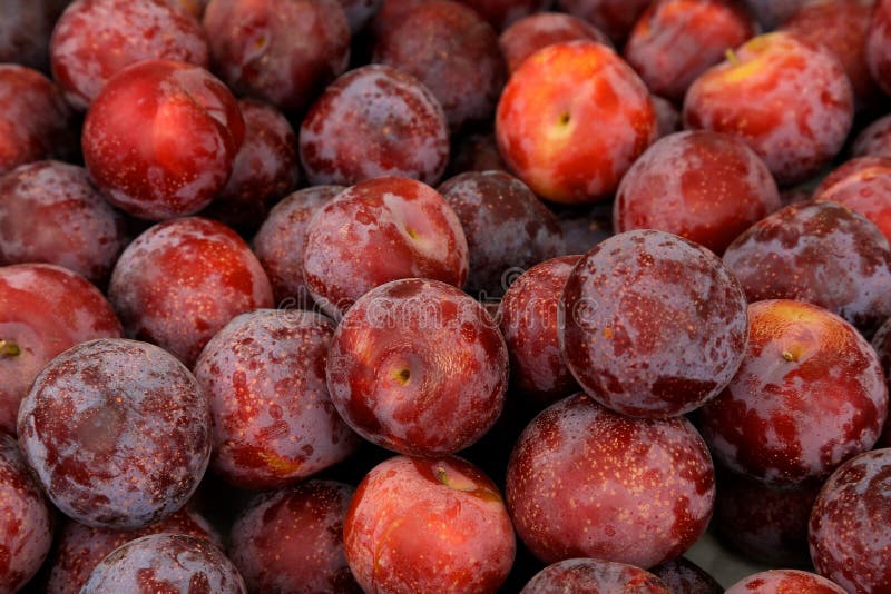 Plums for sale stock photo. Image of produce, farmers 70420060