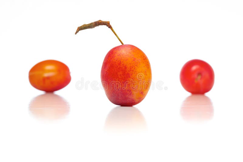 Plums stock photo. Image of healthy, ingredient, group 34054714