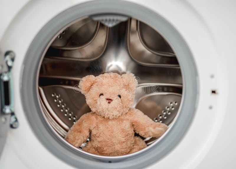 Plush Teddy Bear after Washing in Machine Stock Photo Image of