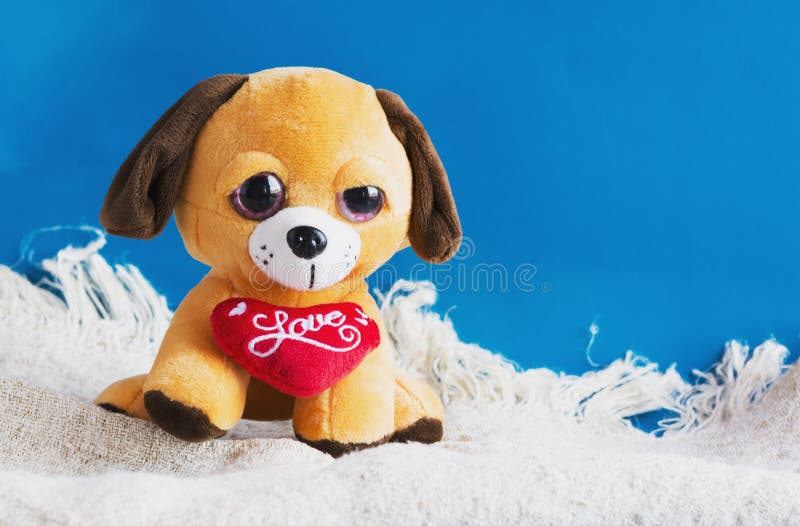 197 Plush Toy Dog Red Heart Stock Photos Free & RoyaltyFree Stock