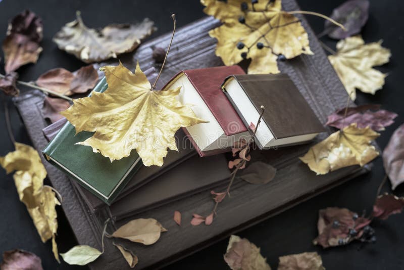 Plusieurs du plan rapproché différent de livres, vue supérieure, couverte de feuilles d'automne sèches, jour ensoleillé d'automne images libres de droits Plusieurs du plan rapproché différent de livres, vue supérieure, couverte de feuilles d'automne sèches, jour ensoleillé d'automne images libres de droits