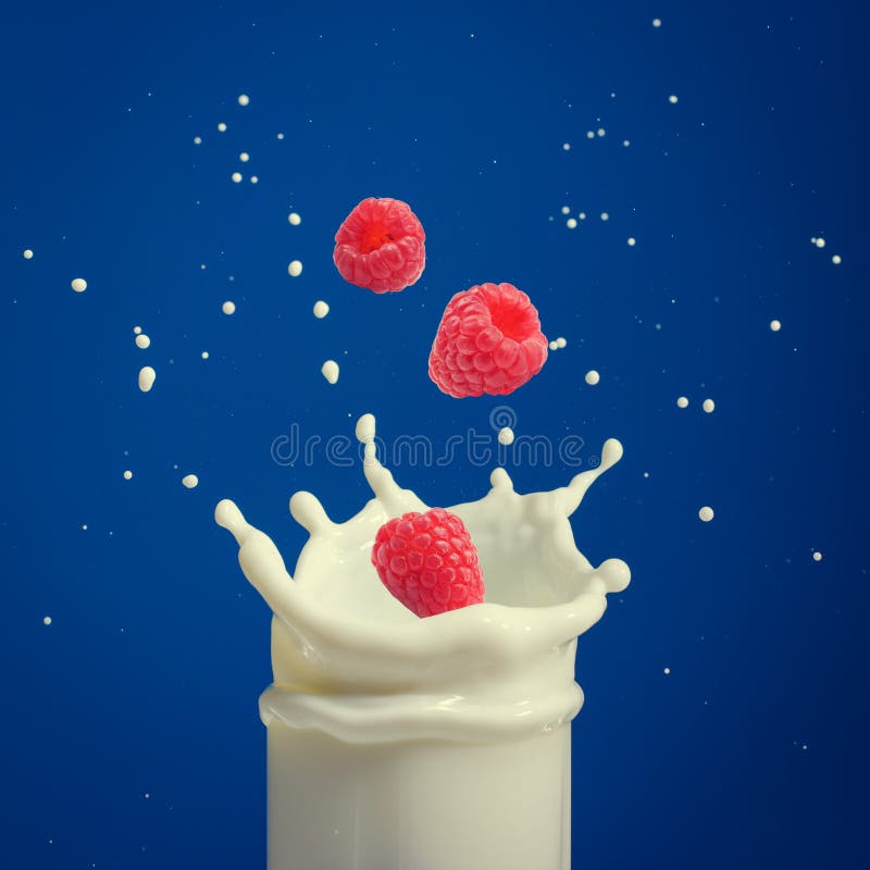 Pluśnięcie mleko, powodować spadać w dojrzałą malinkę obrazy royalty free