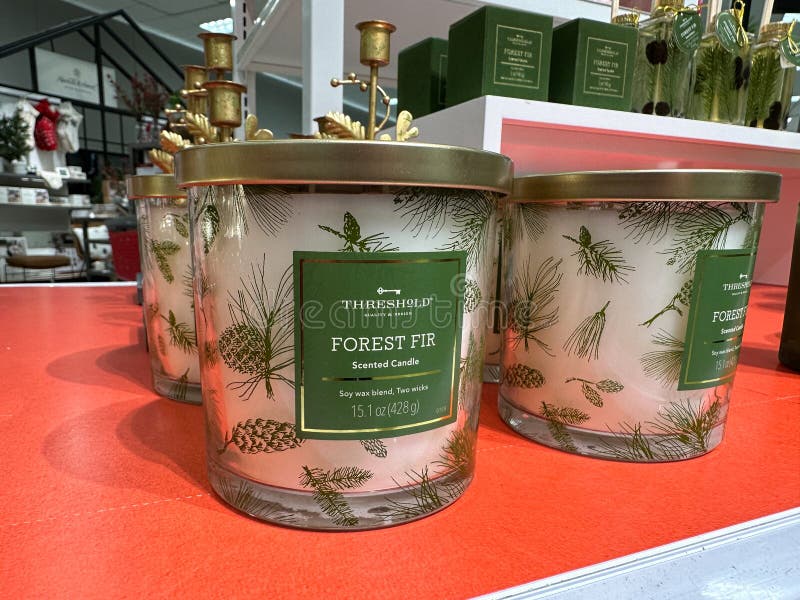 Threshold Brand Forest Fir Scented Two Wick Candles for Christmas, at a