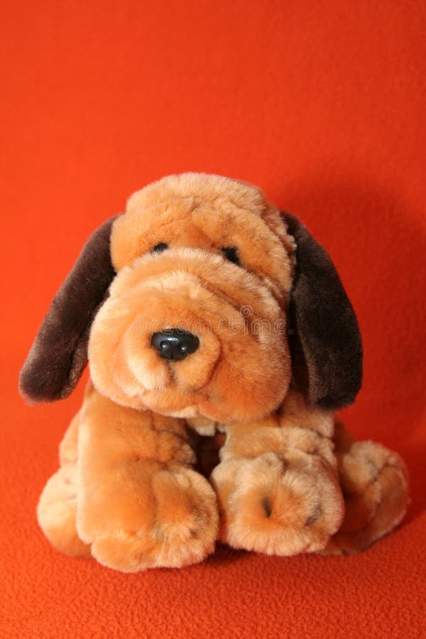 plysch för 3 hund royaltyfria foton plysch för 3 hund royaltyfria foton