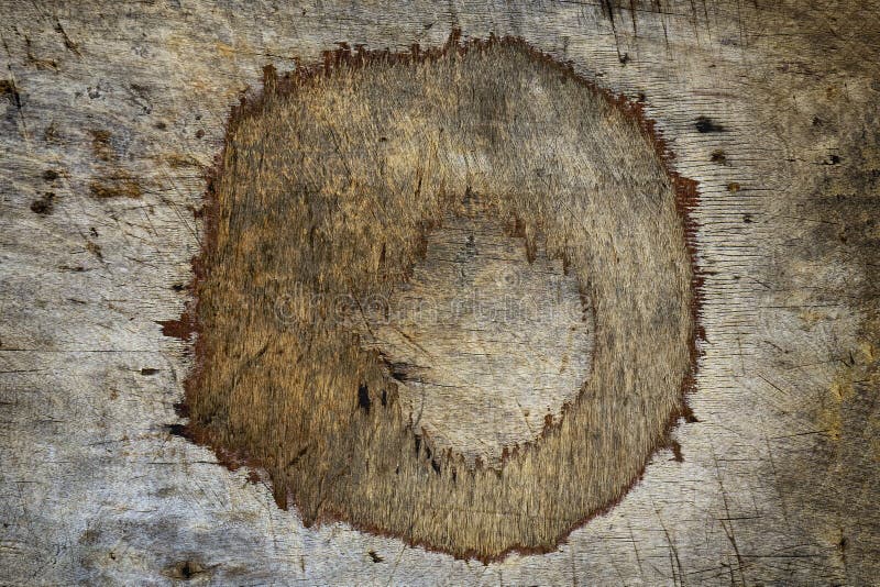 Plywood Cutting Board Texture Stock Photo Image of cook, food 111732778