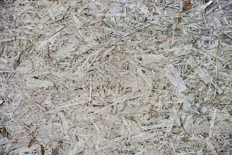 Plywood Molded from Wood Sawdust Stock Image Image of hardwood