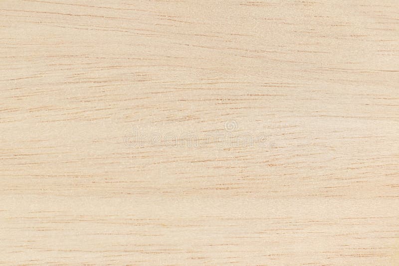Plywood Surface in Natural Pattern with High Resolution. Wooden Grained
