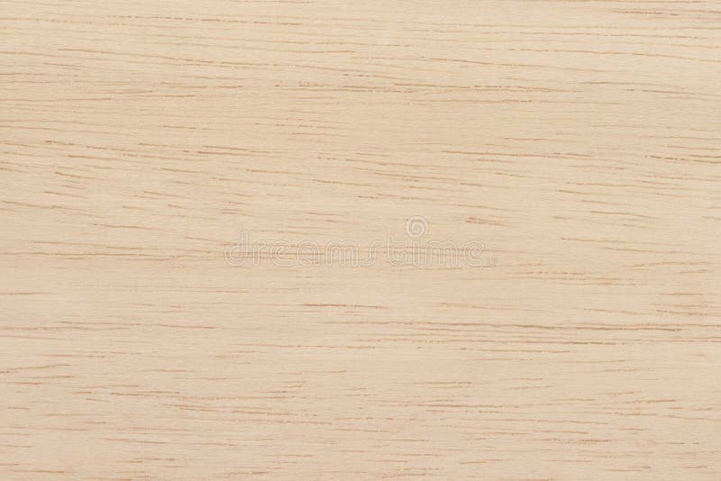 Plywood Surface in Natural Pattern with High Resolution. Wooden Grained