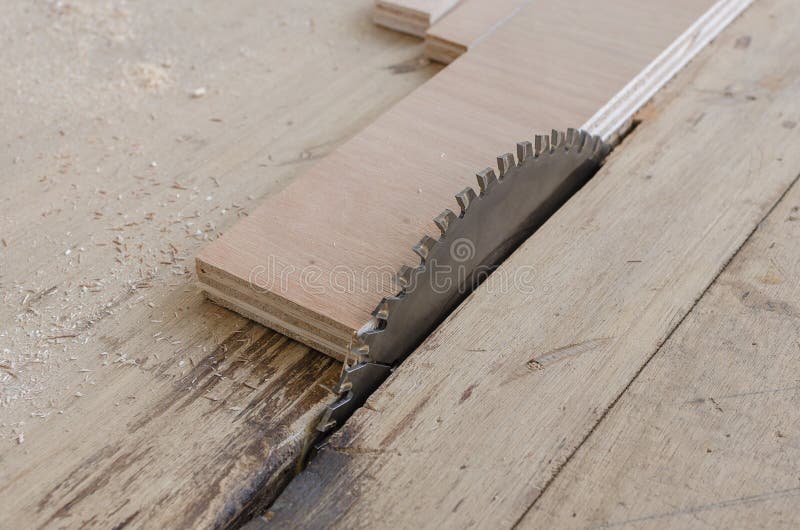 Plywood on Table Saw for Cutting Stock Photo Image of artisan