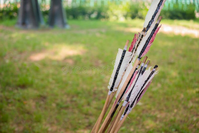 Homemade wooden archery arrows with fletching at medieval historical outdoor festival - close up, selective focus. Handmade, hunting and sport concept. Homemade wooden archery arrows with fletching at medieval historical outdoor festival - close up, selective focus. Handmade, hunting and sport concept