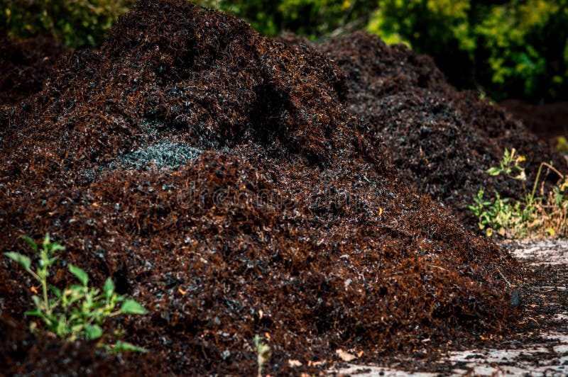 pneumatici usati cavi d'acciaio cavi d'acciaio immagini stock libere da diritti pneumatici usati cavi d'acciaio cavi d'acciaio immagini stock libere da diritti