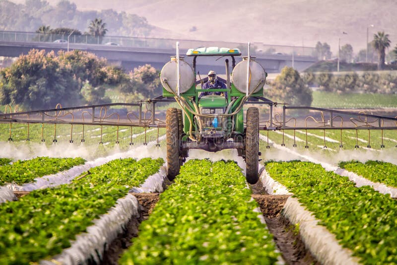 Pneumatico da spruzzo per trattori su colture di fragole immagini stock libere da diritti Pneumatico da spruzzo per trattori su colture di fragole immagini stock libere da diritti