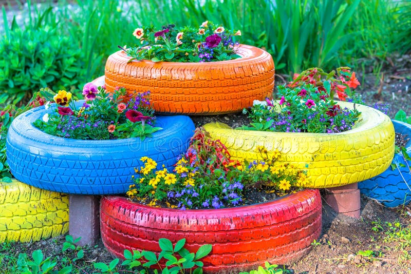 Old tires that are painted in assorted colors and used for a flower planter. Old tires that are painted in assorted colors and used for a flower planter.