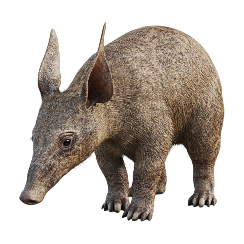 PNG 3d Cute Aardvark Animal na przejrzystym tle generowanym przez Ai ilustracja wektor