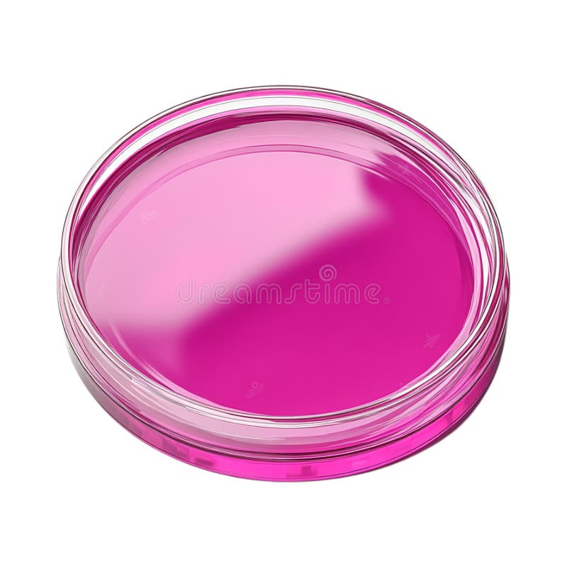 PNG 3D Rendering Minimalist Cartoon Style Pink Petri Dish Against Transparent Background for Science Illustrations Laboratory royalty free illustration