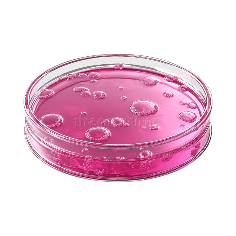PNG 3D Rendering Minimalist Cartoon Style Pink Petri Dish Against Transparent Background for Science Illustrations Laboratory vector illustration