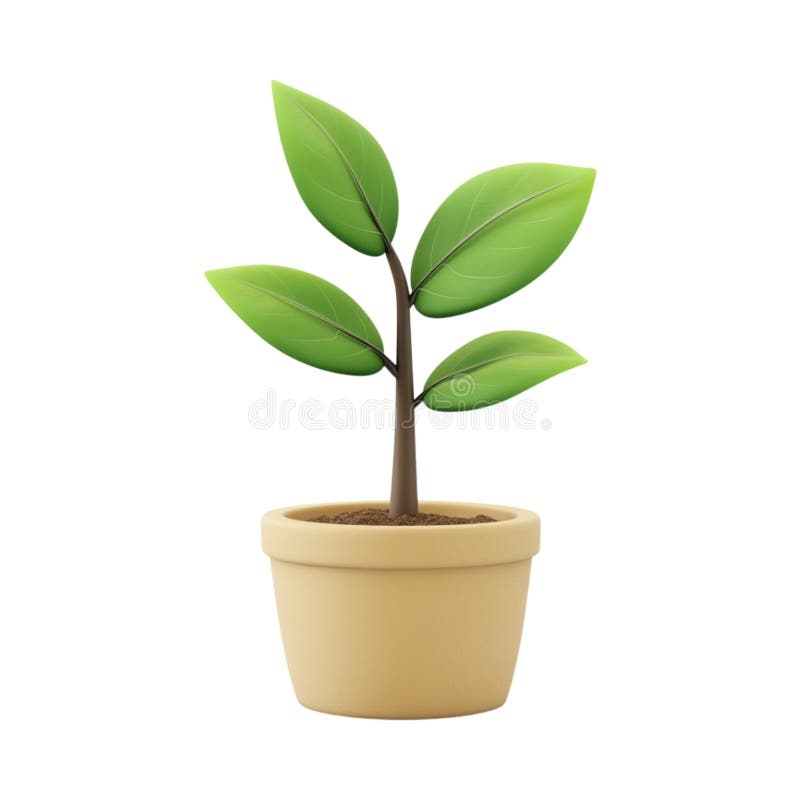 PNG 3D Representación de una planta de dibujo minimalista frente a fondo transparente para diseños botánicos Ilustraciones de la naturaleza o promoción de marca ecológica.