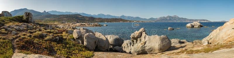 Pnoramic widok Calvi zatoka od Punta Spanu w Corsica fotografia stock