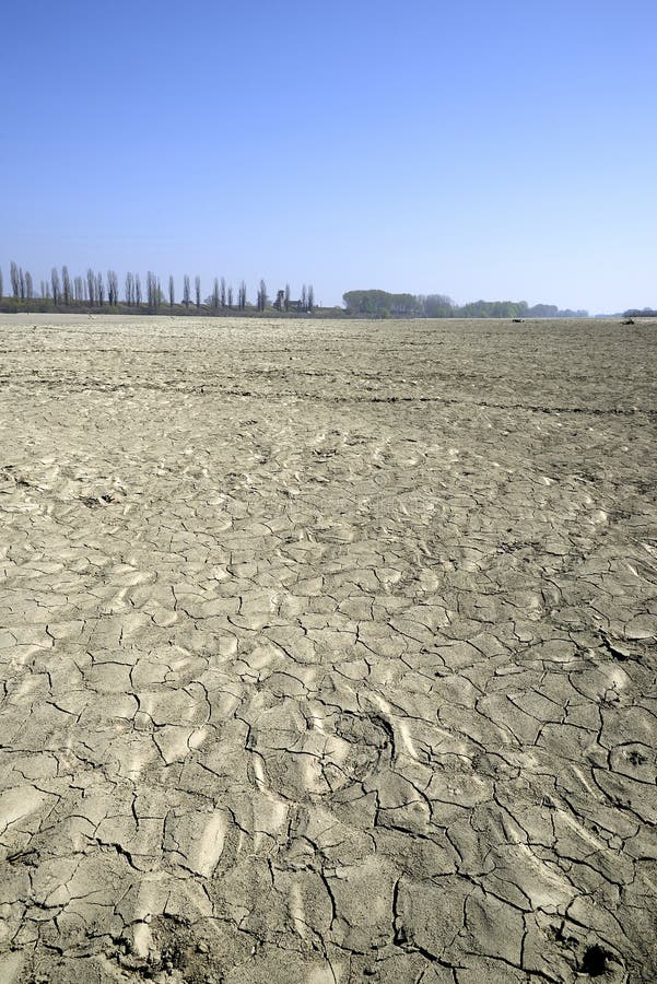 Po River stock image. Image of plant, fisher, nature - 57808511